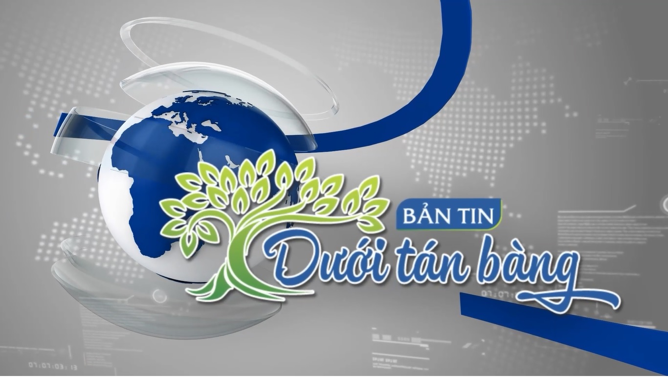 BẢN TIN DƯỚI TÁN BÀNG - số 03